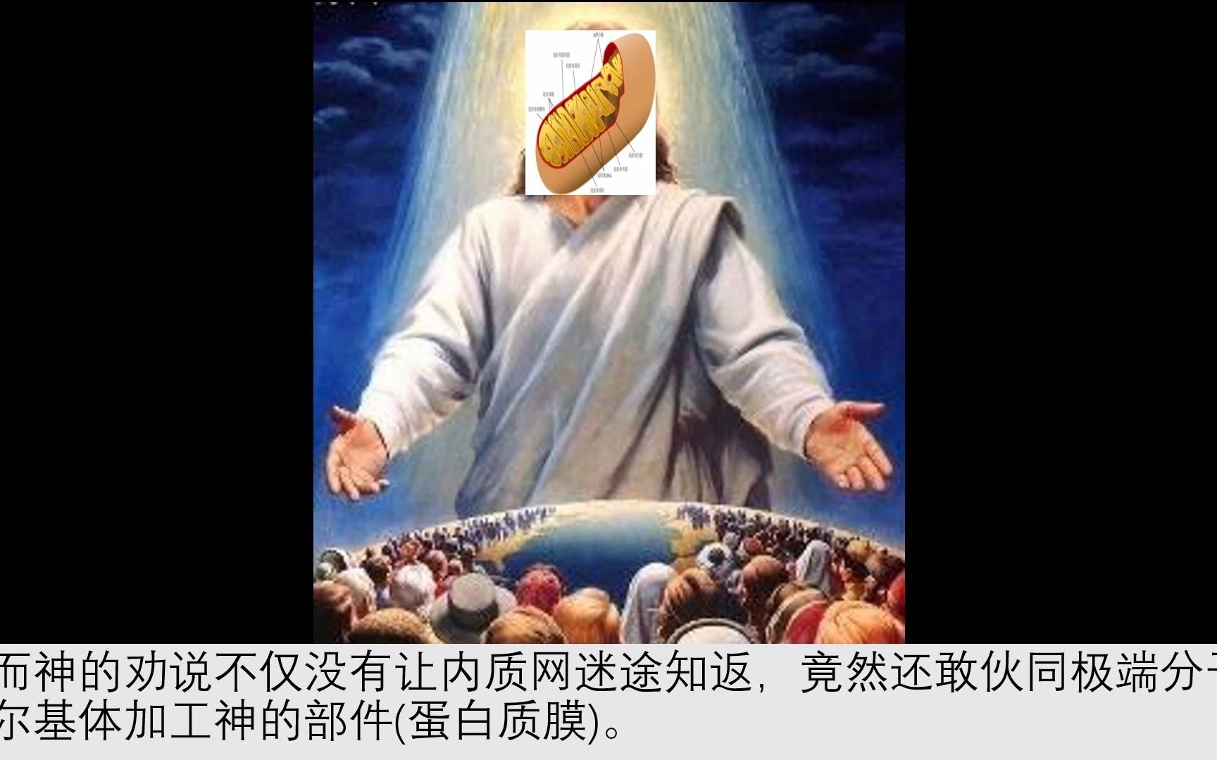 [图]线 粒 体 为 什 么 是 神