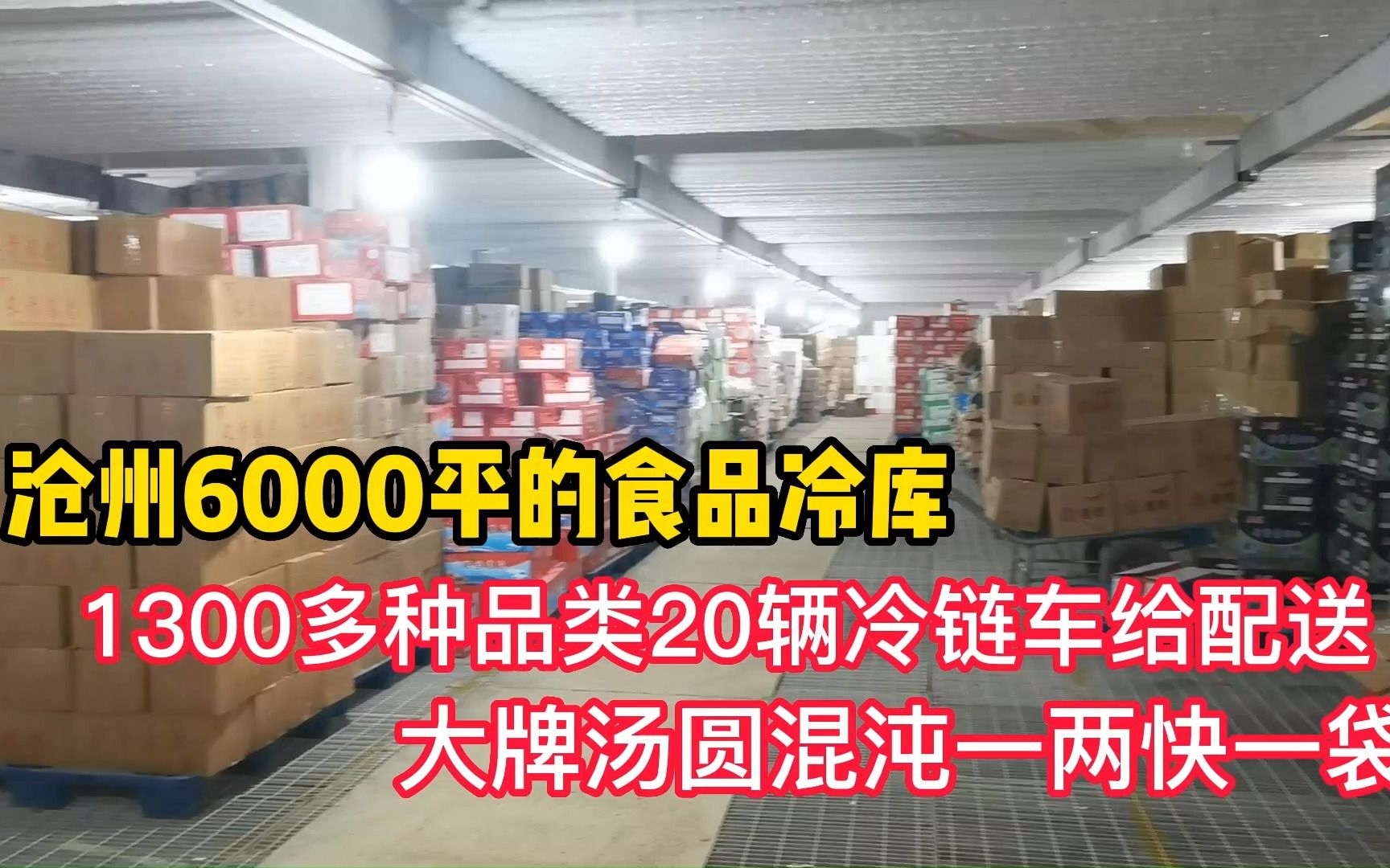 冷冻产品运输成本这么高,免费配送的冻库你见过吗?探库沧州6000平的食品冷库哔哩哔哩bilibili