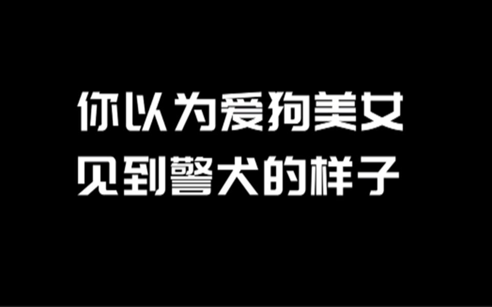 美女带你走进广州市警犬训练基地哔哩哔哩bilibili