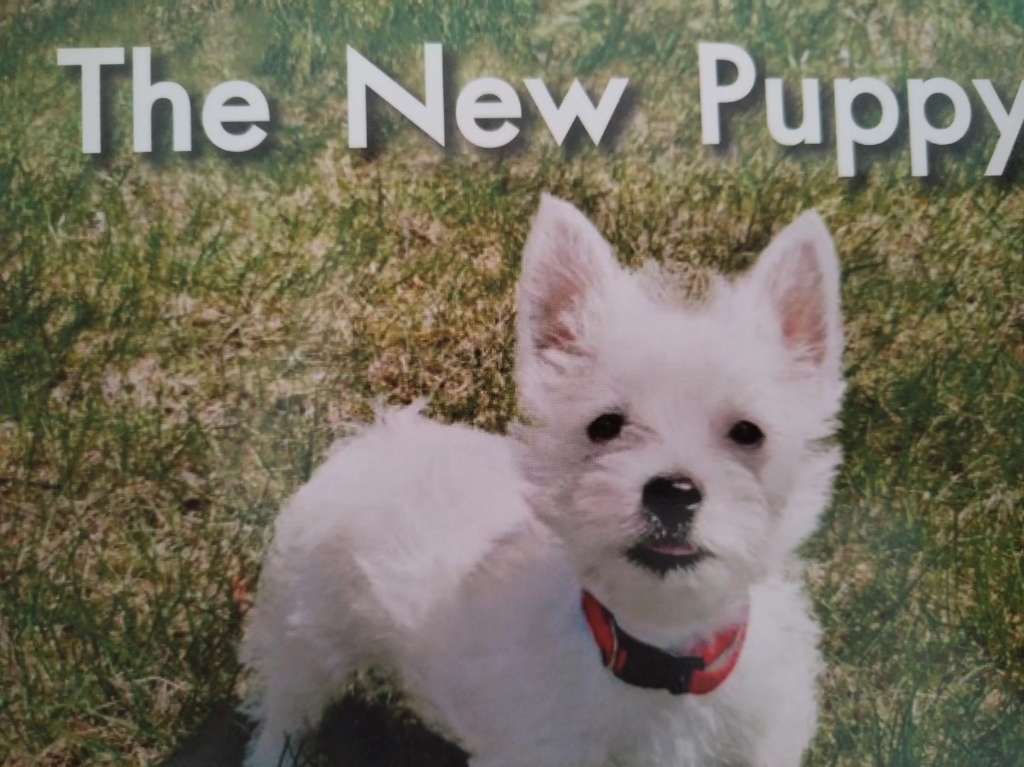 【夕阳逗月明】我的最新作品,快来一睹为快!