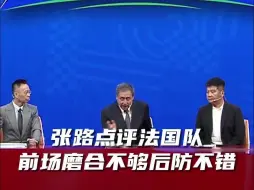 Descargar video: 张路点评法国队，直言：锋线磨合不够后防做的不错