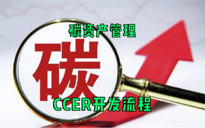 CCER开发流程哔哩哔哩bilibili