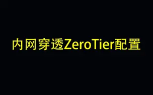 Download Video: 内网穿透ZeroTier配置