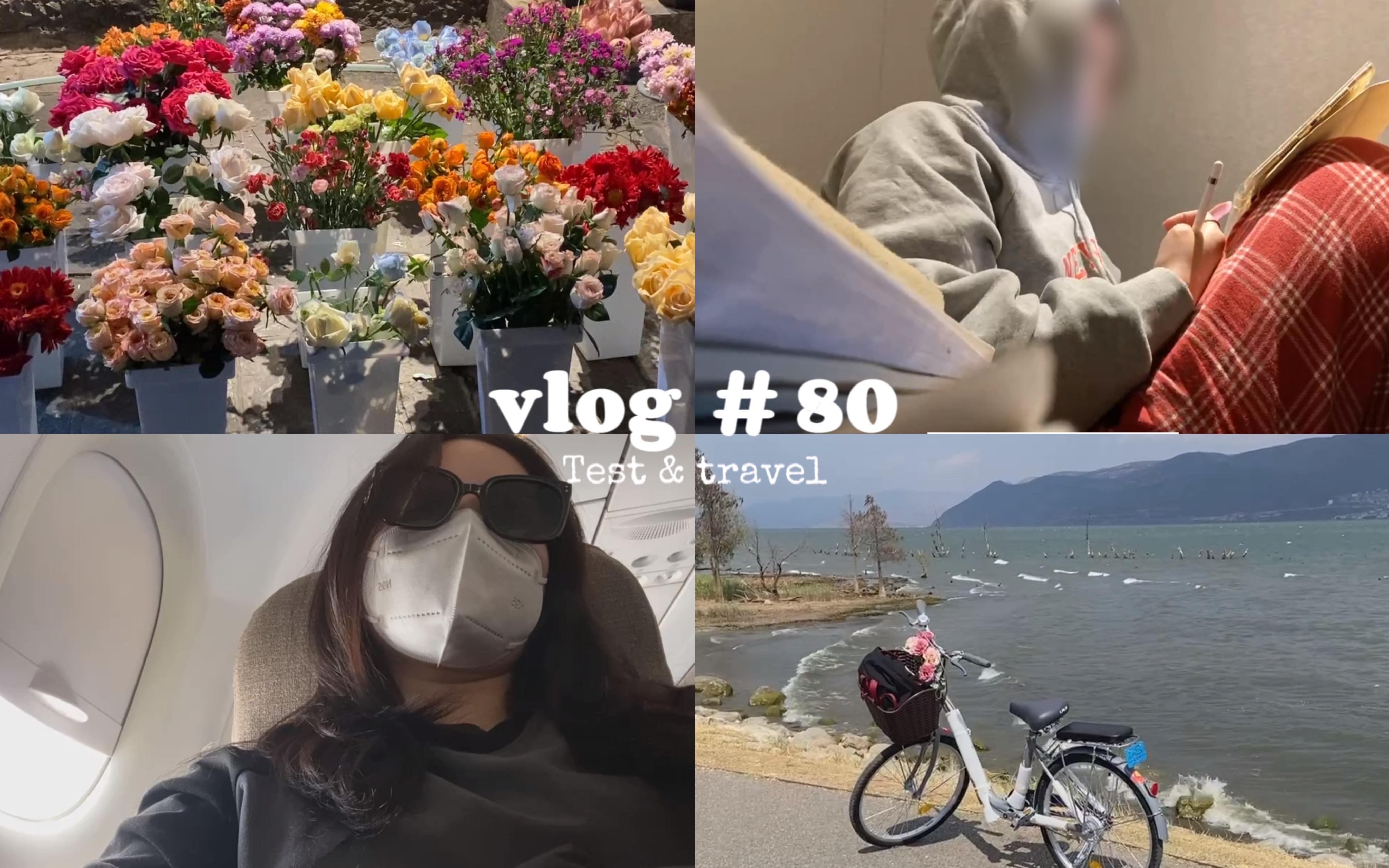 vlog # 80 疯狂复习/临时抱佛教/去有风的地方/云南6日游/大理哔哩哔哩bilibili