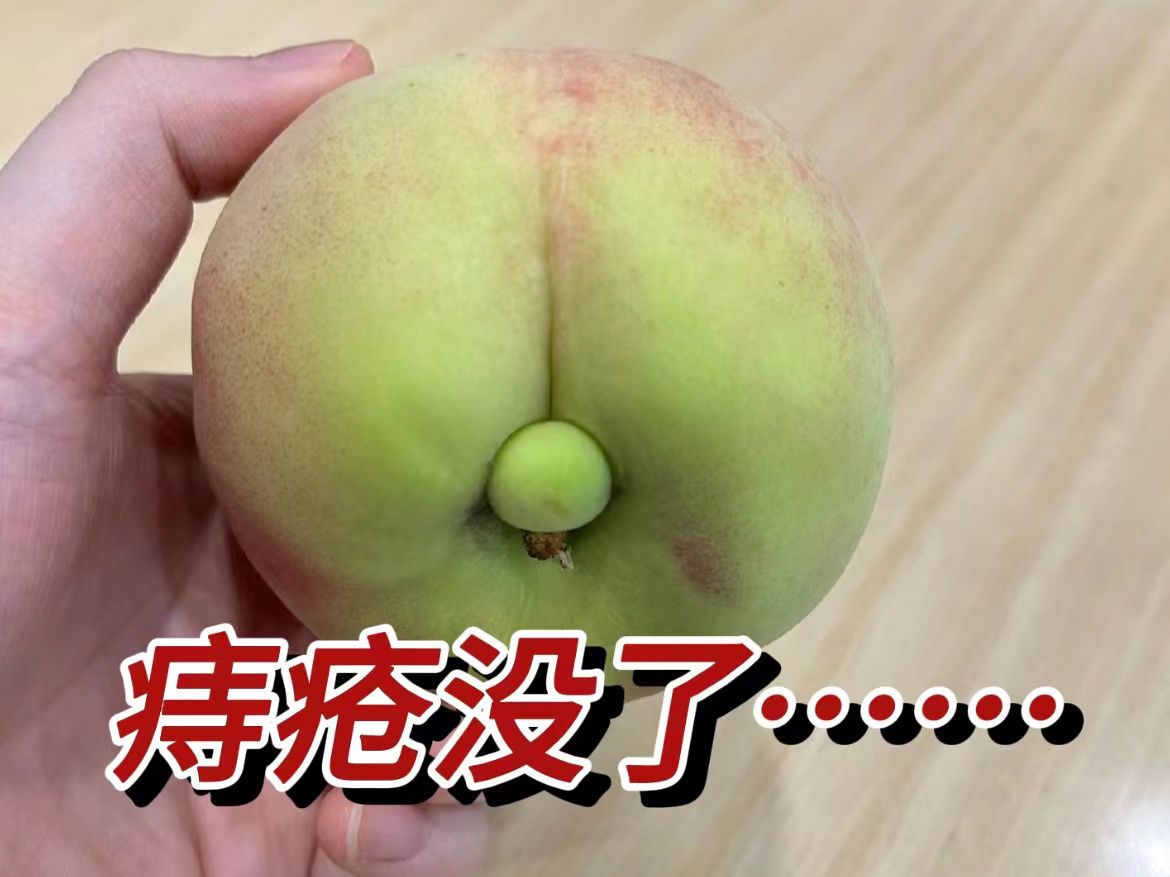 3天止血7天消肉球?解决庤疮,坚持是关键!