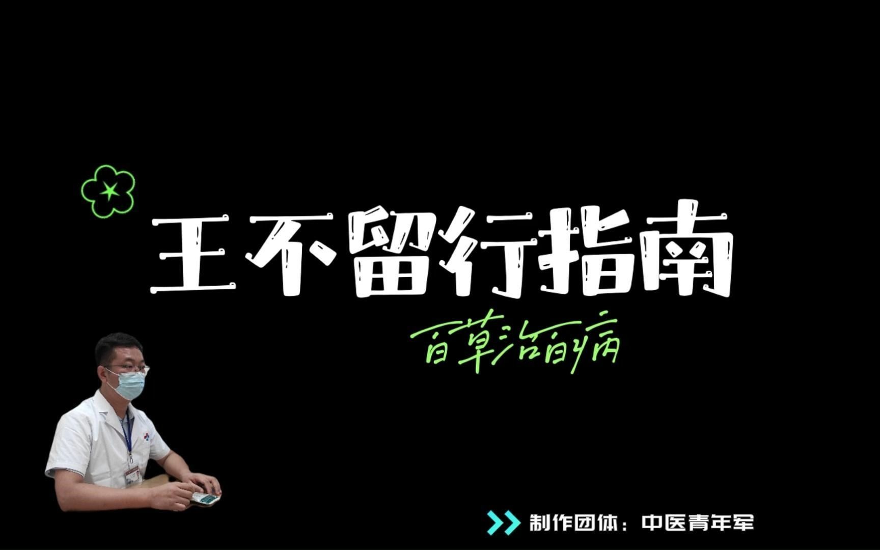 王不留行,治疗乳汁不通的良药,广泛应用于耳穴压豆……哔哩哔哩bilibili