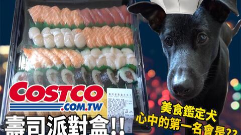 日本手握壽司吃到飽 Costco派對壽司盒 有請美食鑑定犬 哔哩哔哩