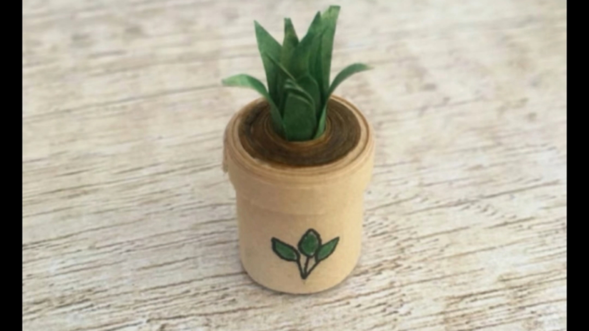 只需要几张纸就能折一棵小草啦