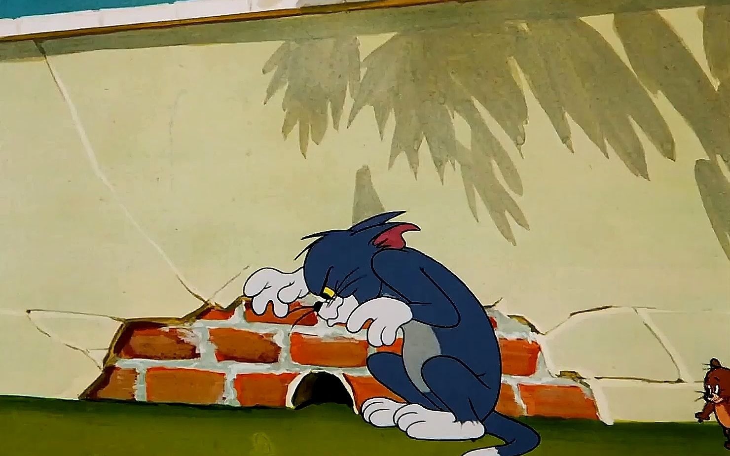 每天一遍,防止抑郁#猫和老鼠