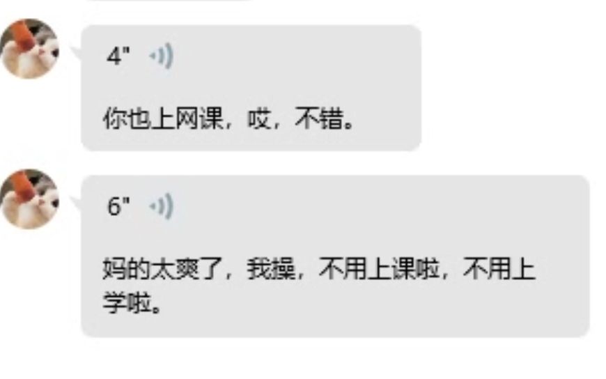 妈的太爽了,我操,不用上课啦,不用上学啦哔哩哔哩bilibili