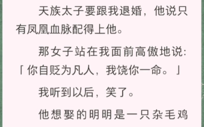 天族太子要跟我退婚,他说只有凤凰血脉配得上他.哔哩哔哩bilibili