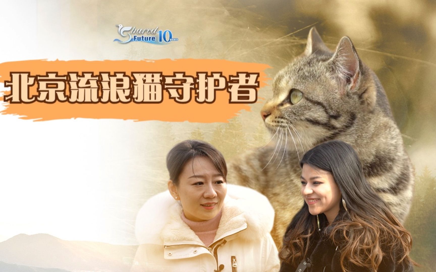 北京流浪猫守护者——抖音网红安珊哔哩哔哩bilibili