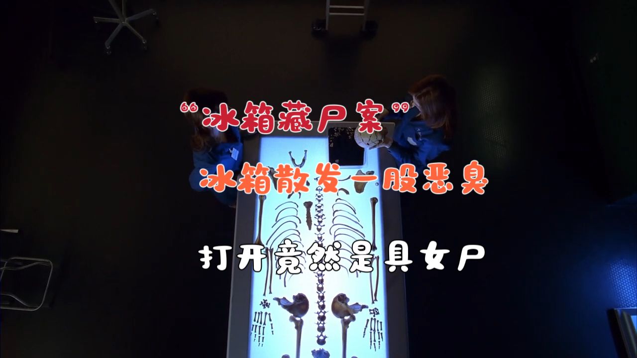 "冰箱藏尸案"工人发现一个冰箱,里面竟有具女尸(识骨寻踪)