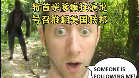 波士顿圆脸的动态-哔哩哔哩