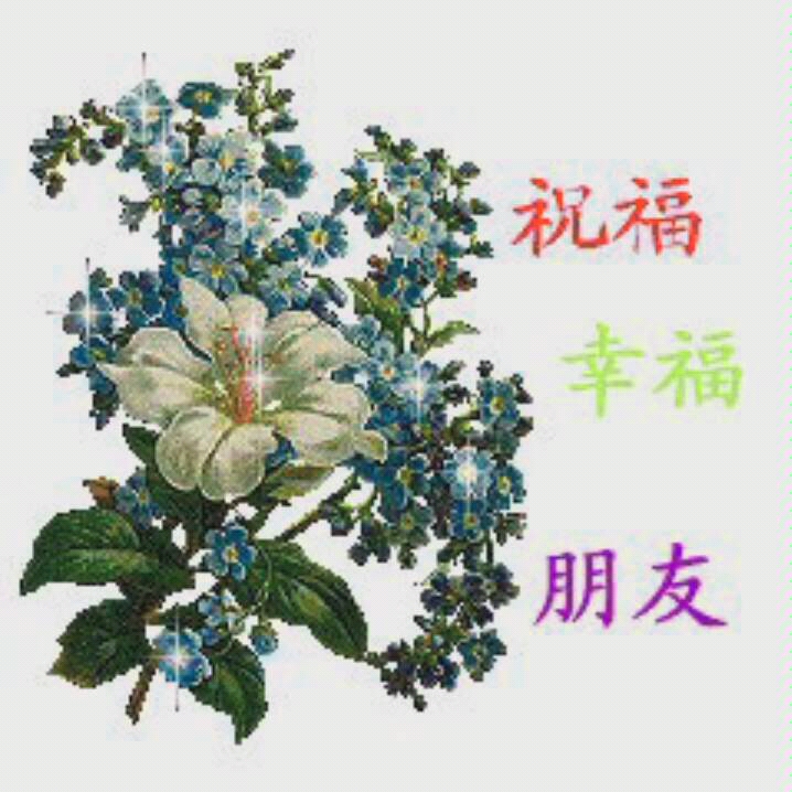 好兄弟祝福你嗷