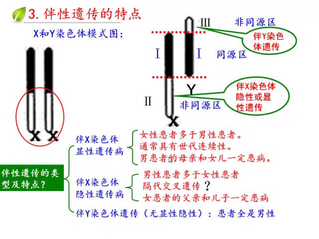 高三生物专题四生物的遗传与变异哔哩哔哩bilibili