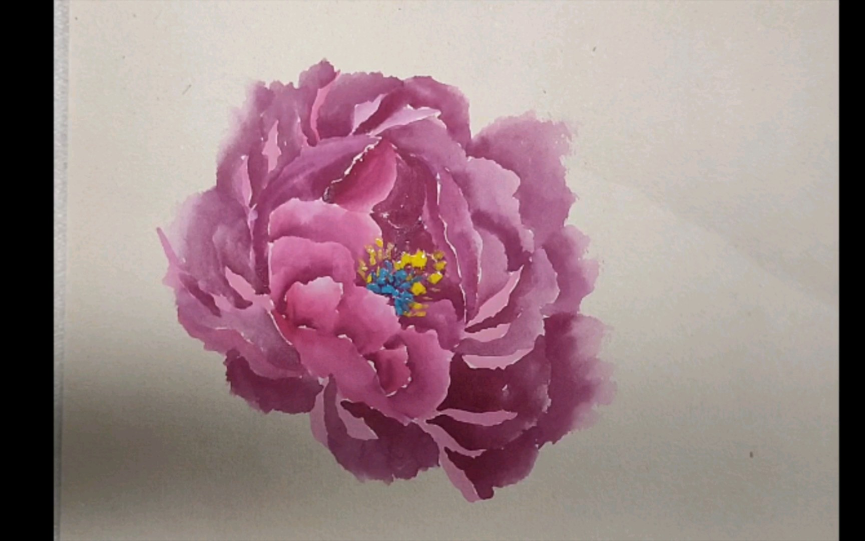 国画练习日常画牡丹花