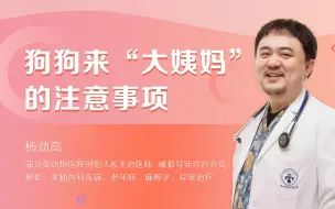 狗狗来“大姨妈”的注意事项