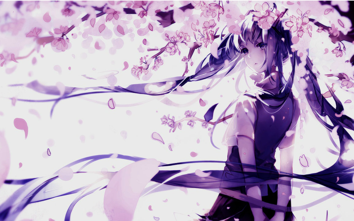 多素材amv樱花季情到深处