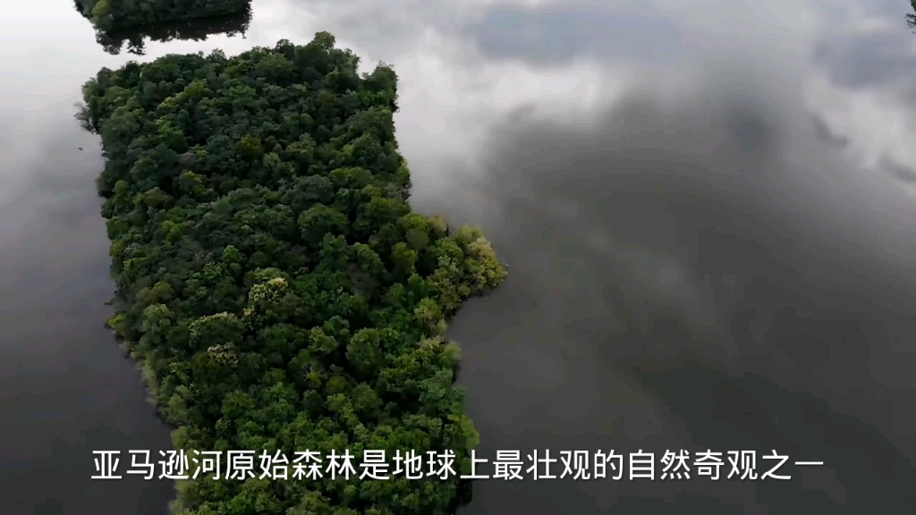 亚马逊河原始森林