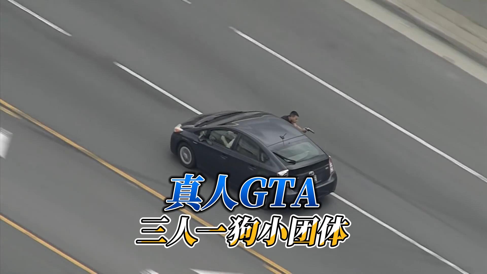 真人GTA,低配版三人一狗哔哩哔哩bilibili