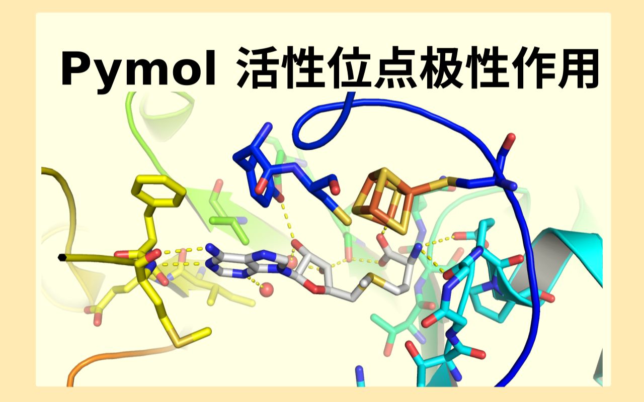 Pymol作图展示蛋白小分子极性作用哔哩哔哩bilibili