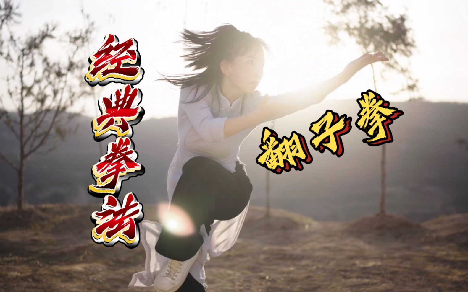 影视剧中的经典拳法——翻子拳哔哩哔哩bilibili