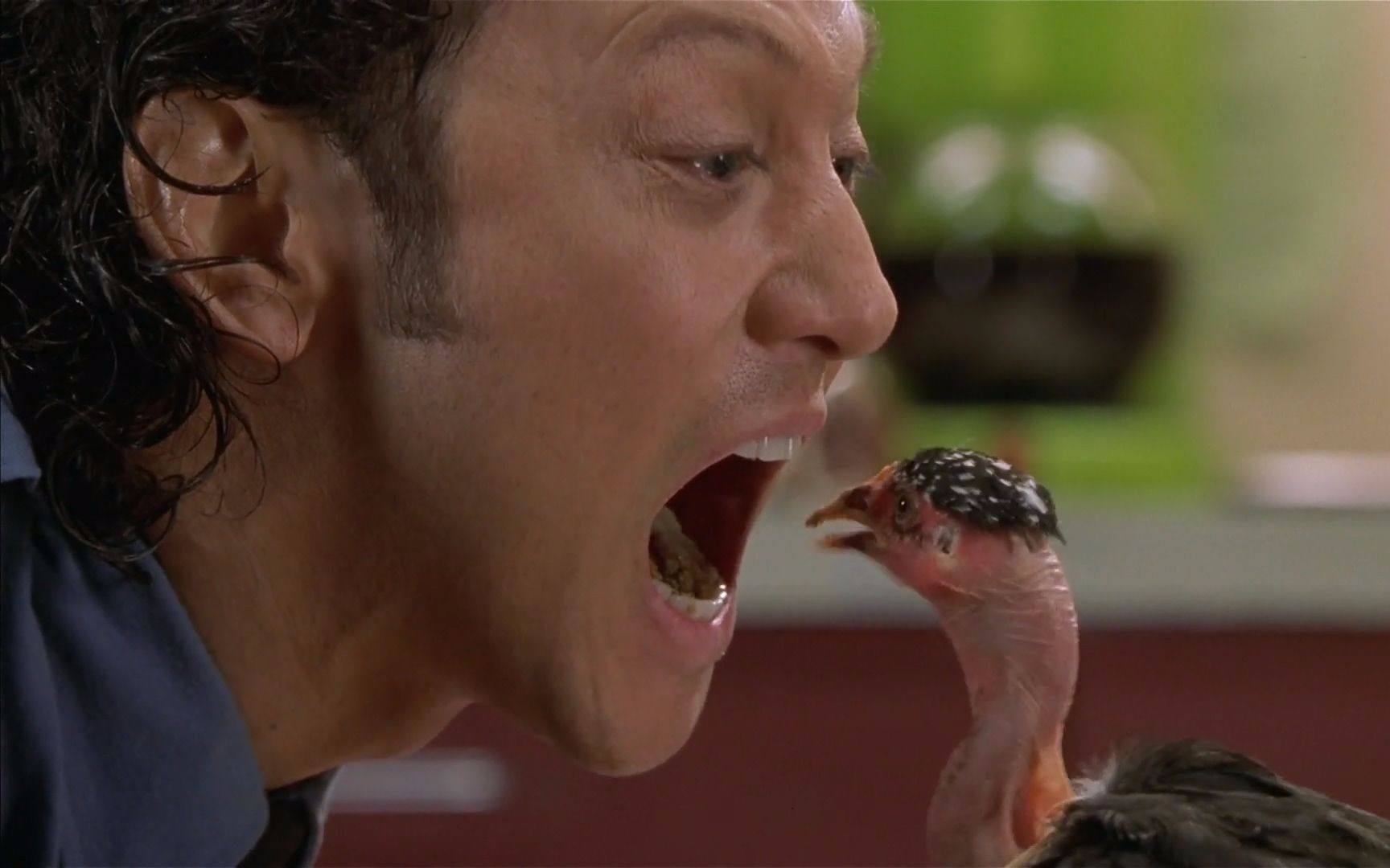 默爷小伙人面兽心咬碎蚯蚓喂食小鸟见到女孩却惊声尖叫