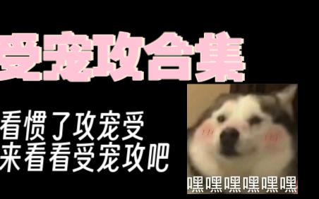 推文|受宠攻合集~哔哩哔哩bilibili