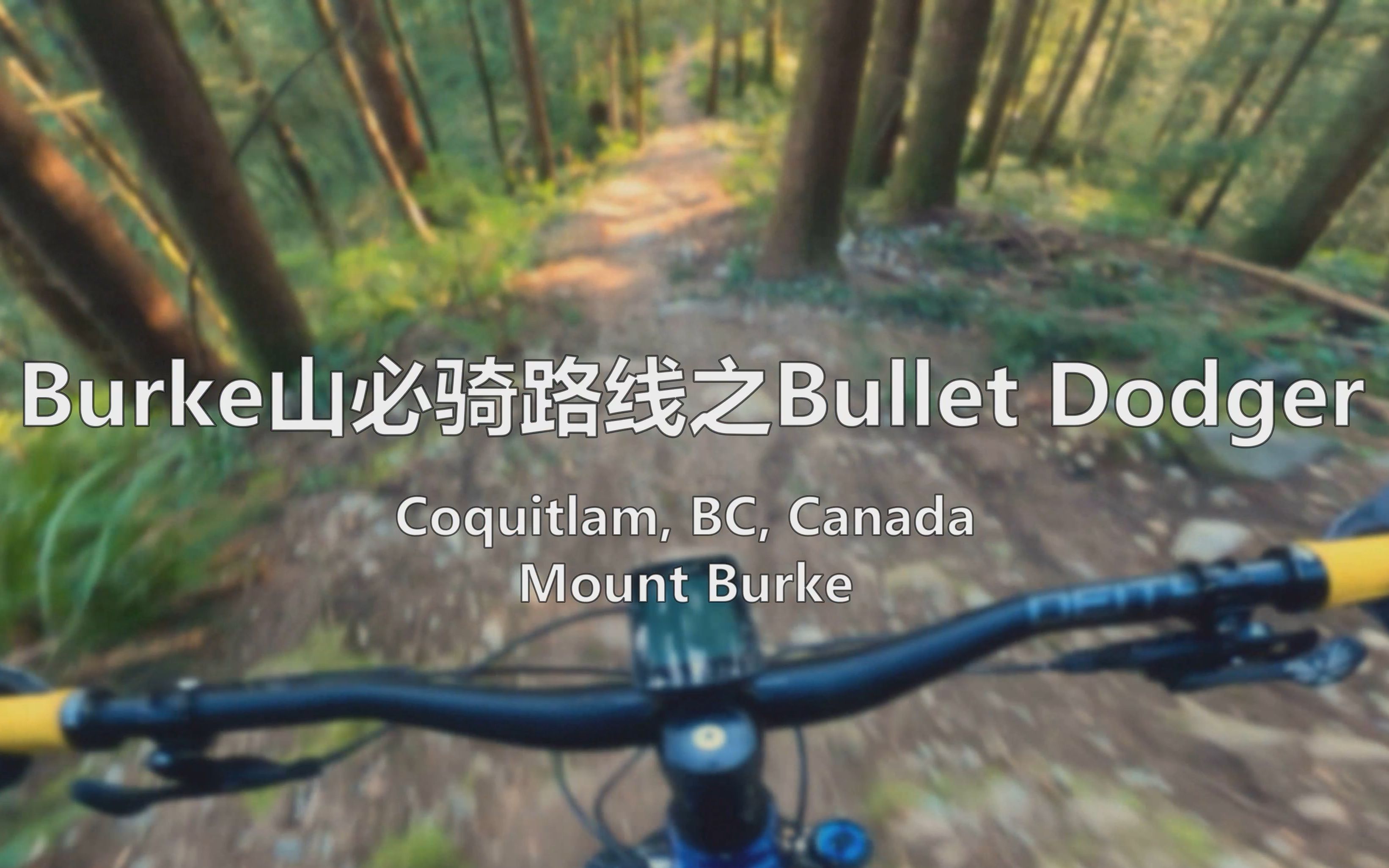 三年前以为被坑了,现在直呼真香  高贵林Mt Burke  Bullet Dodger哔哩哔哩bilibili