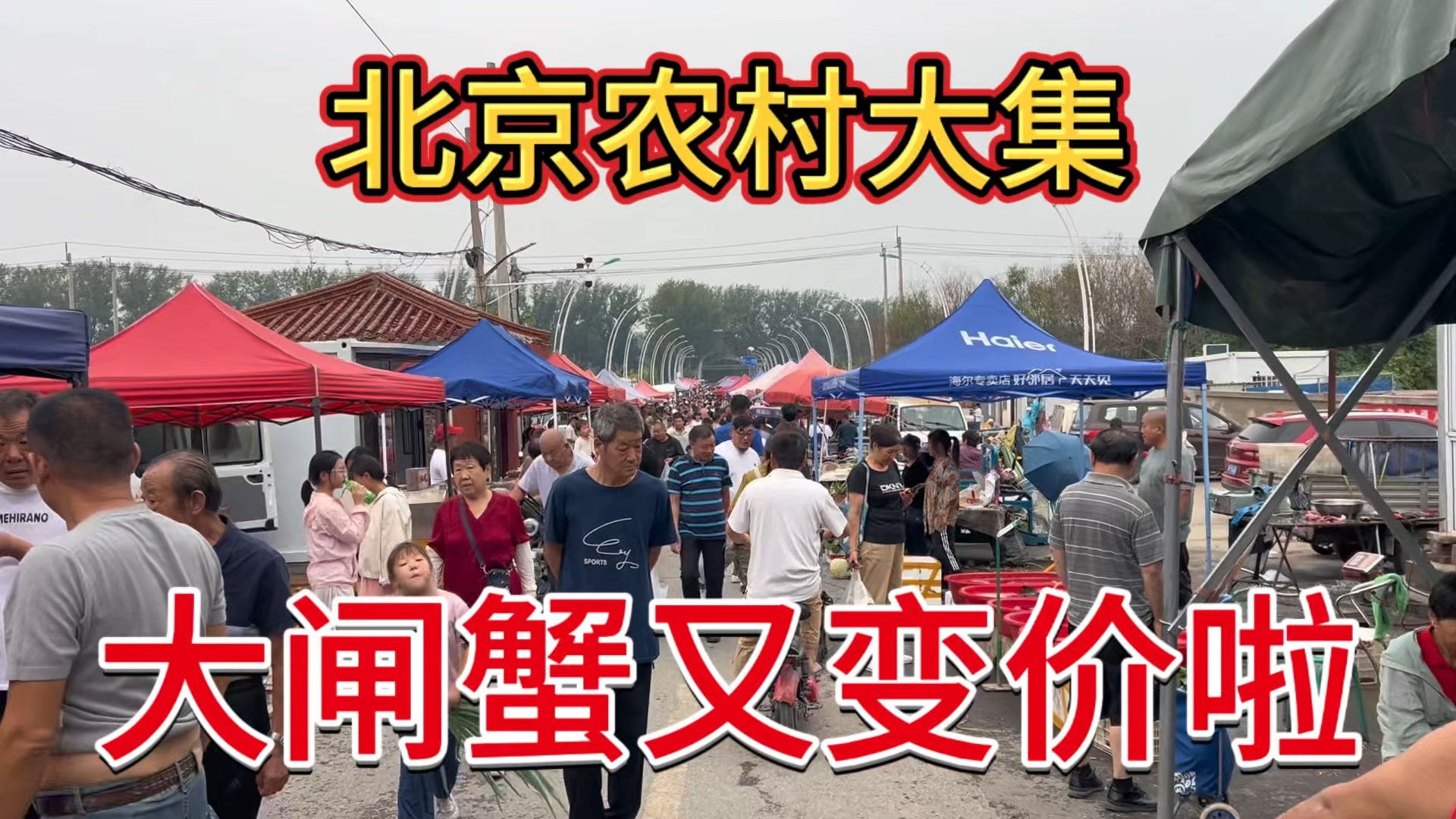 大闸蟹又变价啦，看北京大集卖多少一斤？大家觉着贵吗