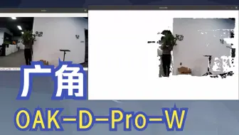 OAK-D-Pro-W广角深度相机点云测试