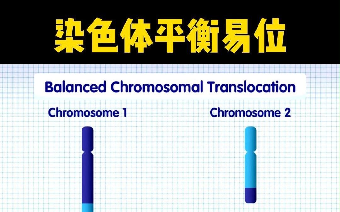 染色体平衡易位哔哩哔哩bilibili