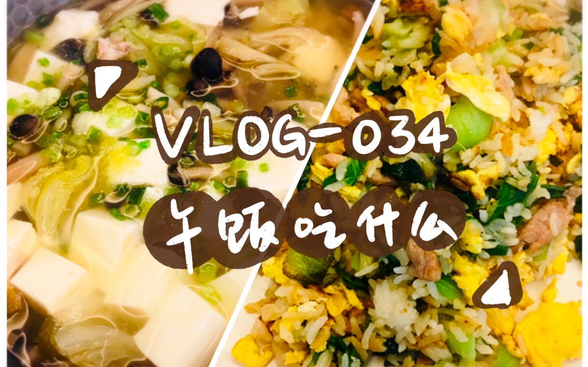 【VLOG034 午饭吃什么】肉丝青菜鸡蛋炒饭+肉丝榨菜豆腐汤哔哩哔哩bilibili