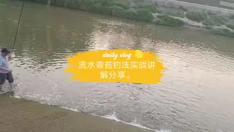 野钓遇流水 就用跑铅钓法 哔哩哔哩 Bilibili