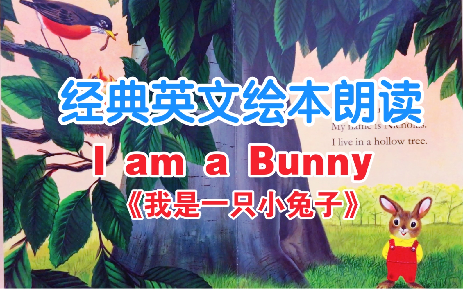 [图]【英文绘本沉浸式朗读欣赏I am a Bunny】英语启蒙绘本 小月龄宝宝英文绘本 双语启蒙 英文绘本原声朗读赏析 宝宝哄睡晚安故事