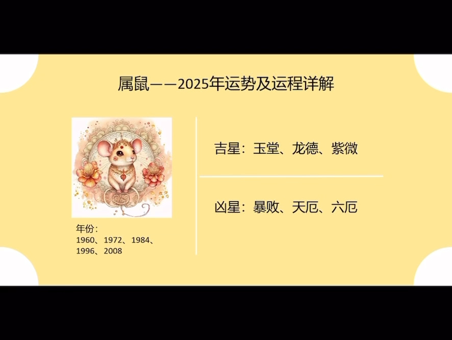 2025年十二生肖运势 鼠哔哩哔哩bilibili