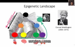 Download Video: 表观遗传学介绍