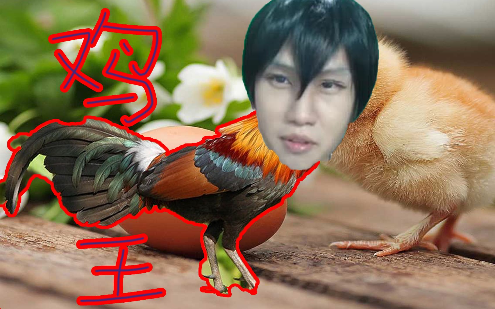 怎么像怕上火爆王老菊一样做游戏视频 2019游戏up主小教程