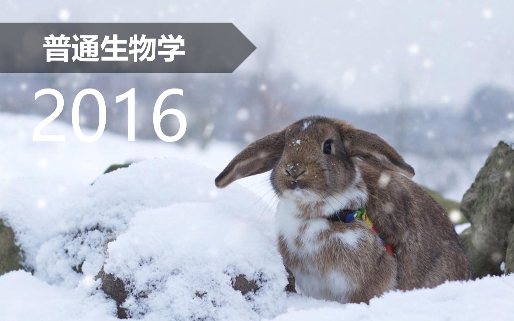 [图]【普生】普通生物学 2015-2016