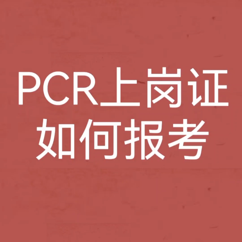 PCR证书如何进行报考哔哩哔哩bilibili