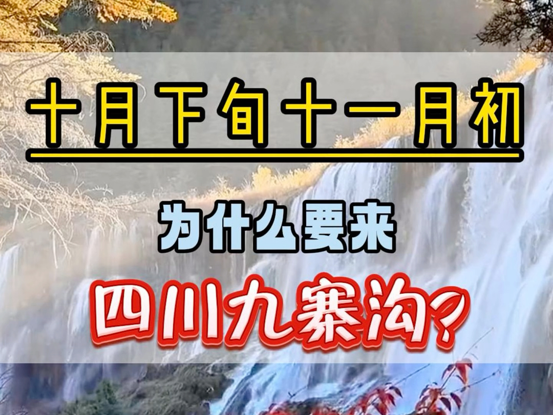 为什么一定要10下旬11月初来一趟四川九寨沟,因为这个时候是四川九寨沟的彩林最佳观赏季.彩林变色率达到了80%,错过了就要在等一年.哔哩哔哩...