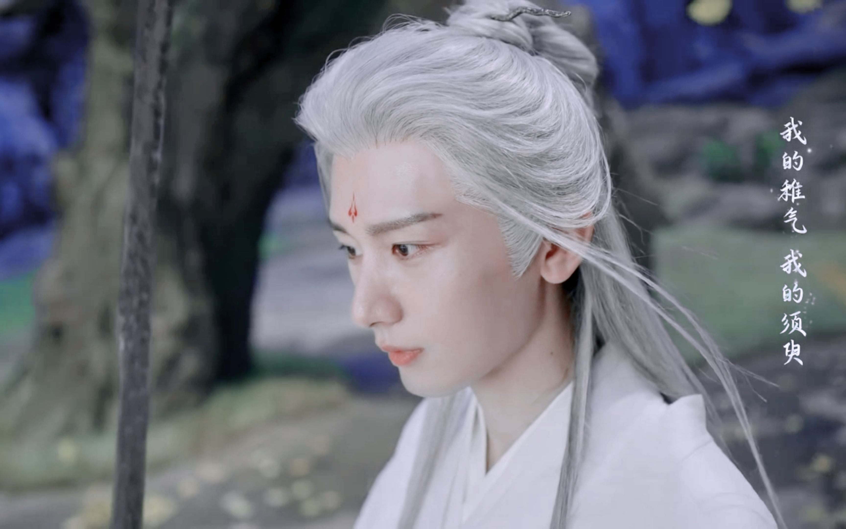 白发bjd娃娃纯享版 || 应渊x成毅