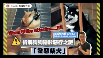 完了しました 中村信哉 犬 中村信哉 犬 Blogimgtlulasjp