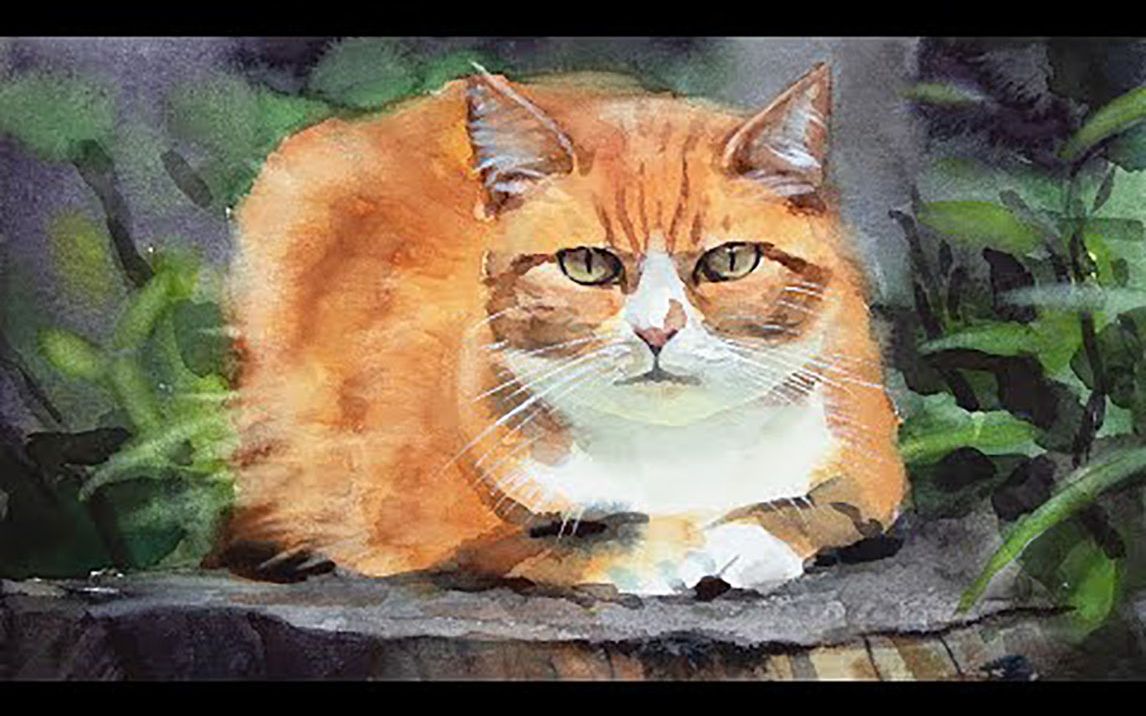 水彩插画教程--来来来一起画一直橘猫