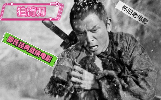 豆瓣冷门经典武侠电影榜NO.13:侠肝义胆《独臂刀》哔哩哔哩bilibili