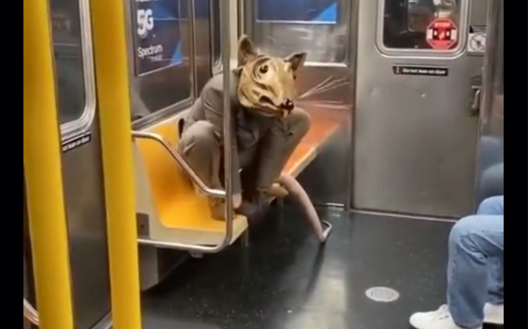 活动作品老鼠人