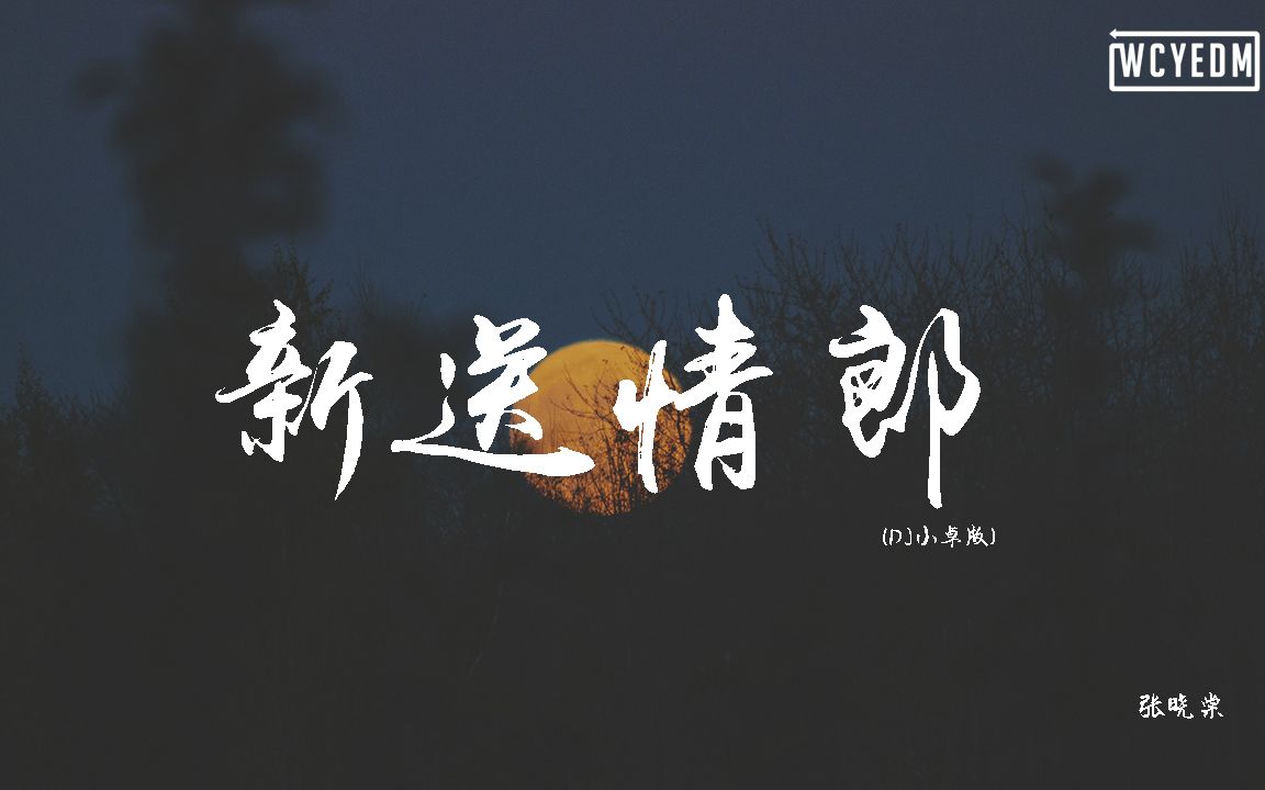 張曉棠 - 新送情郎 (dj小卓版)【動態歌詞/pīn yīn gē cí】