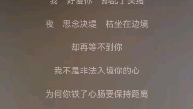 非法入境【汪佩蓉】哔哩哔哩bilibili