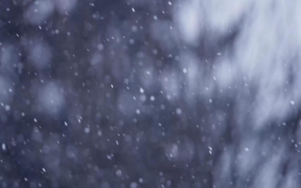 [图]【主题空镜】飘雪相关 | 户外场景【持更】